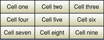 Example of convolution kernel cells
